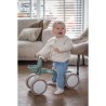 Tricycle Luna Tryco