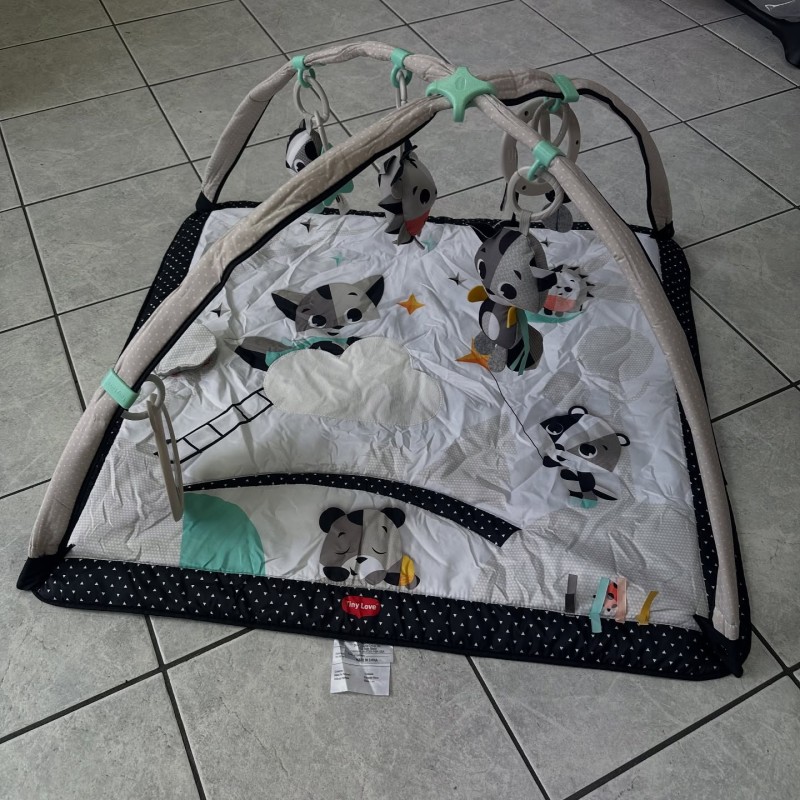 Tapis d'éveil tinylove